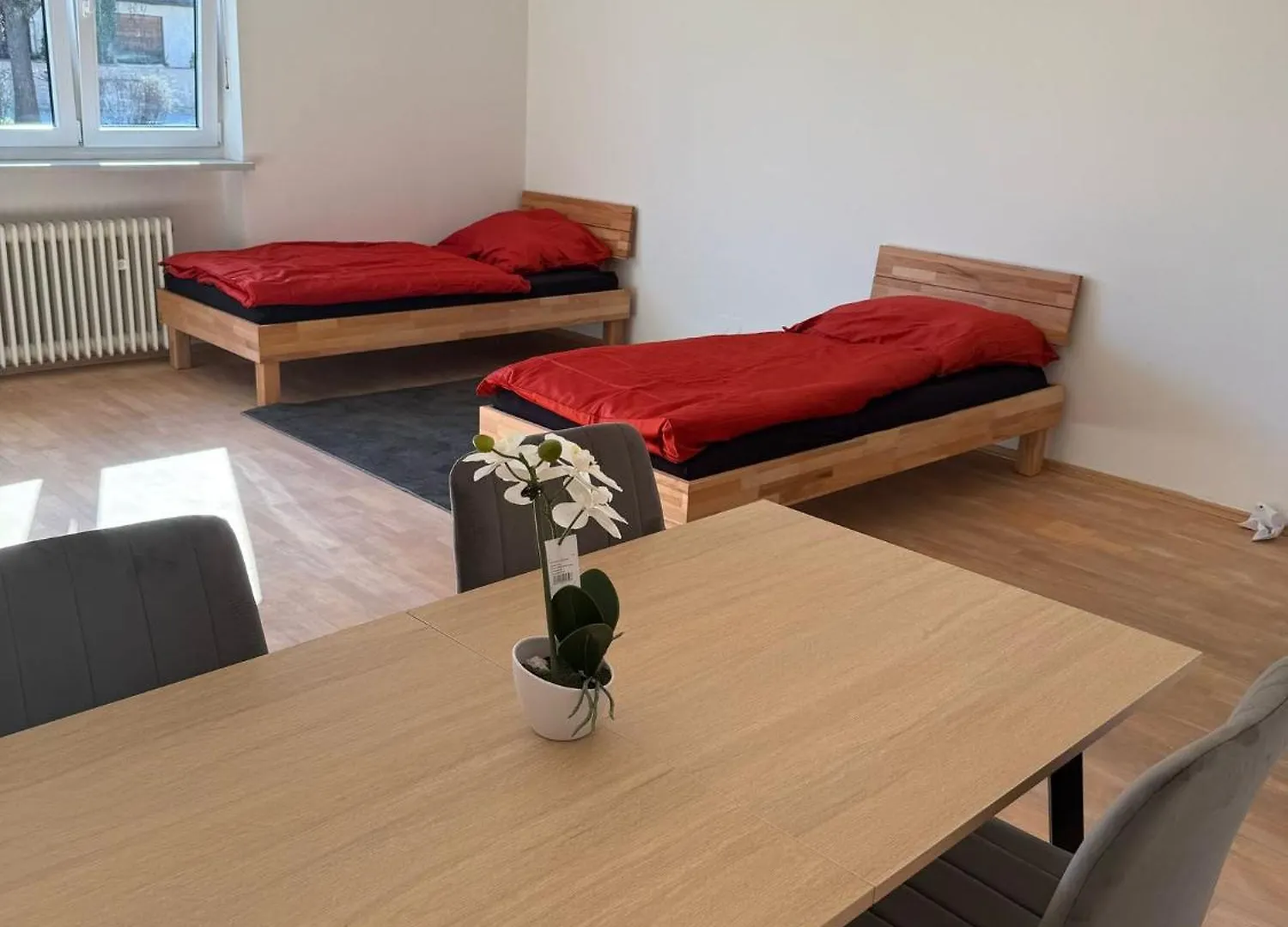Apartment Harlaching Munich