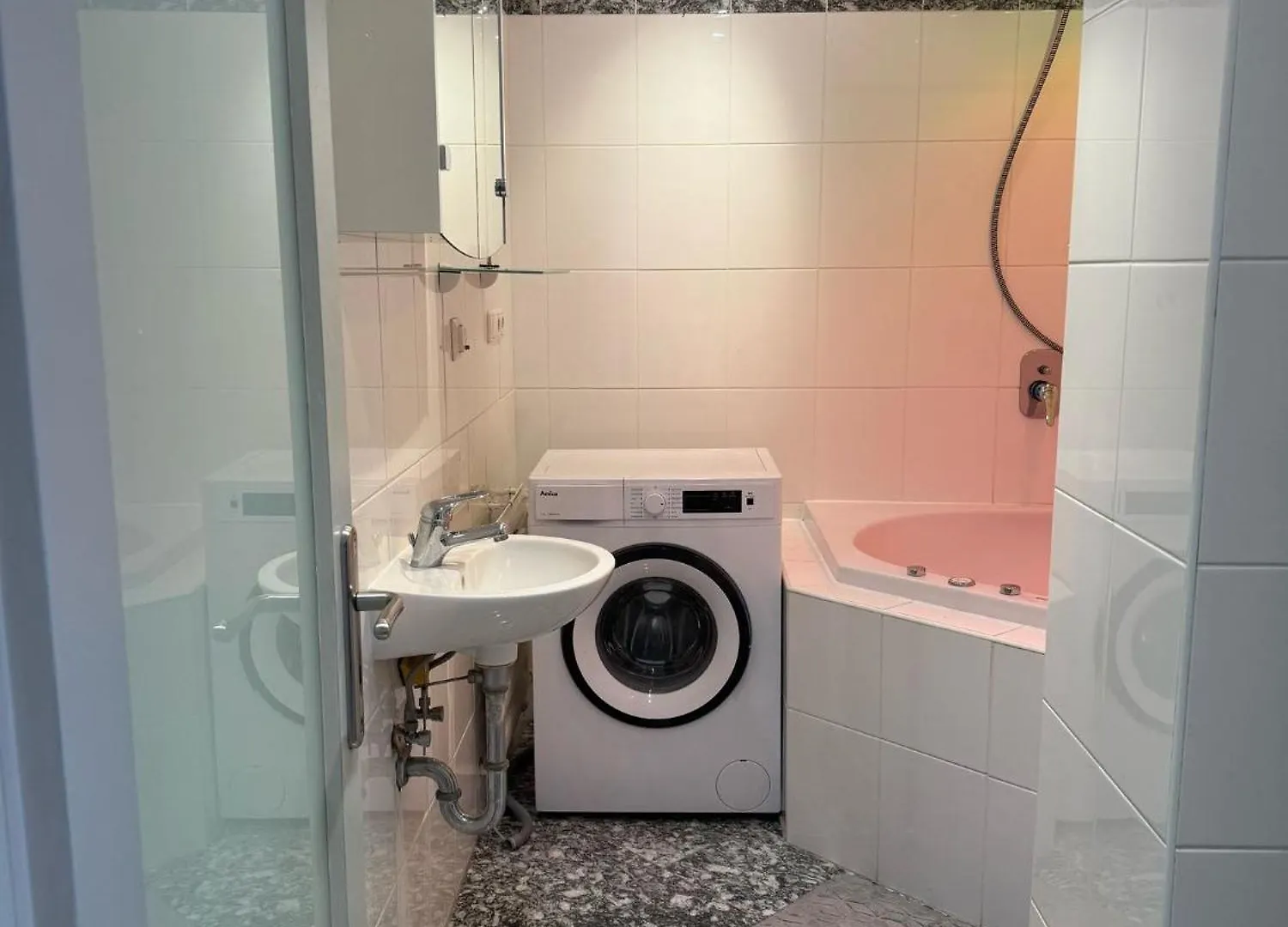 Apartment Harlaching Munich