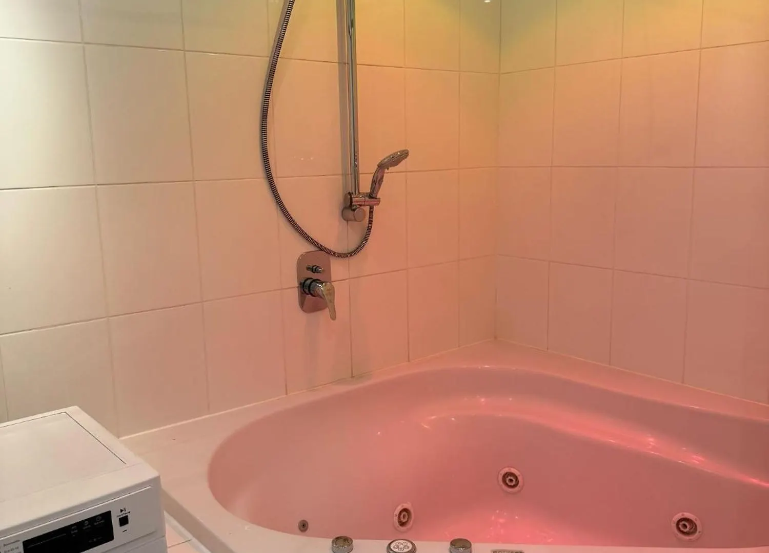 Apartment Harlaching Munich